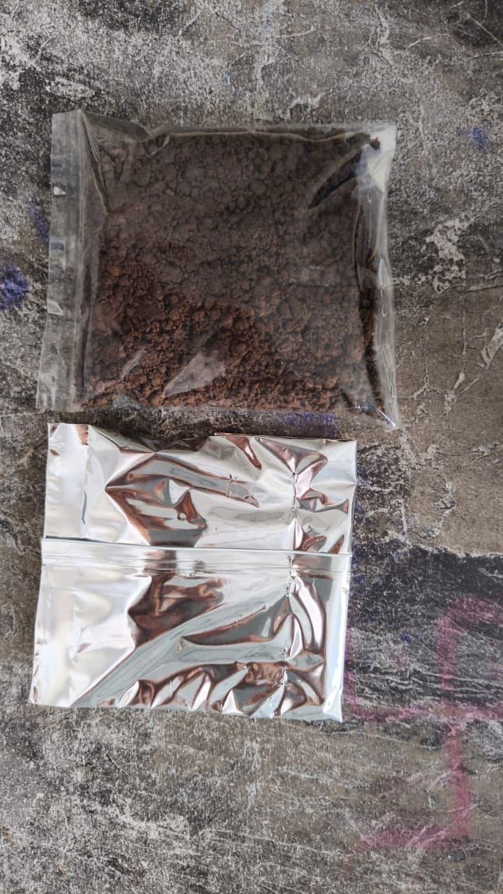 Eclipse Rose Seeds